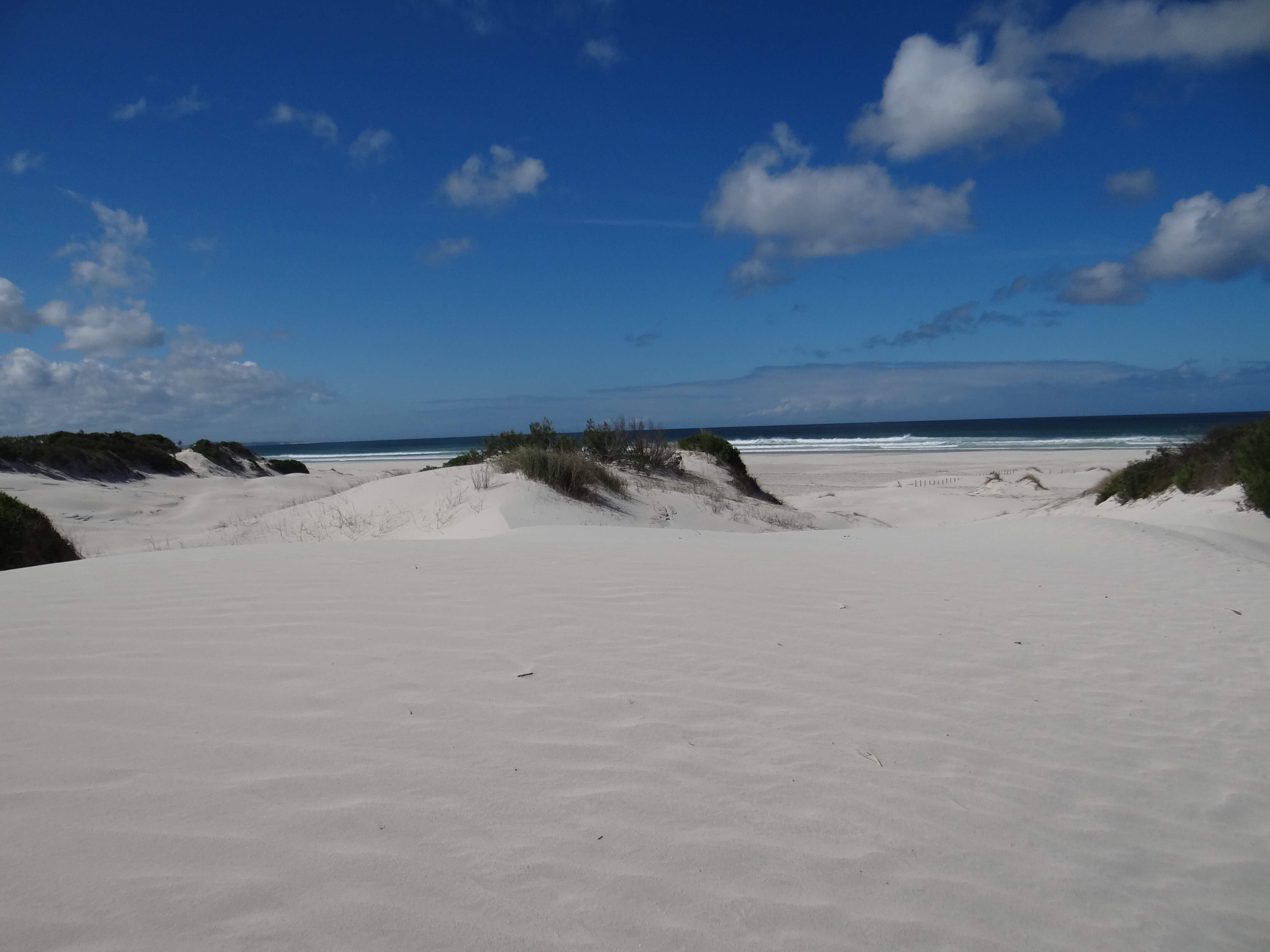 die plaat beach.JPG