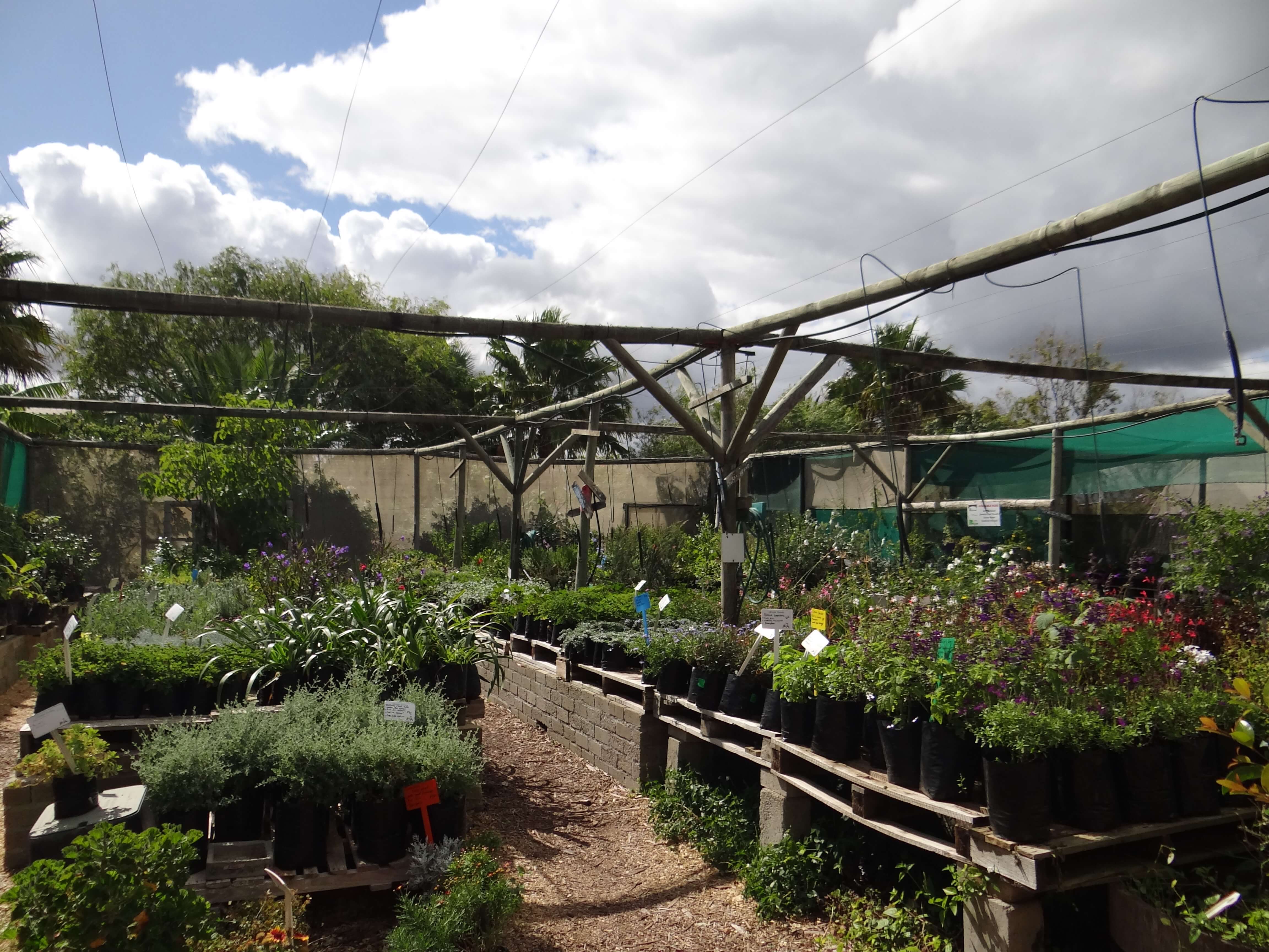 ansa nursery1.JPG